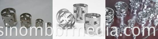 Metal Pall Ring SS304